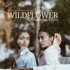  Wildflower
