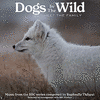  Dogs In The Wild: Meet The Family