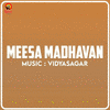  Meesa Madhavan